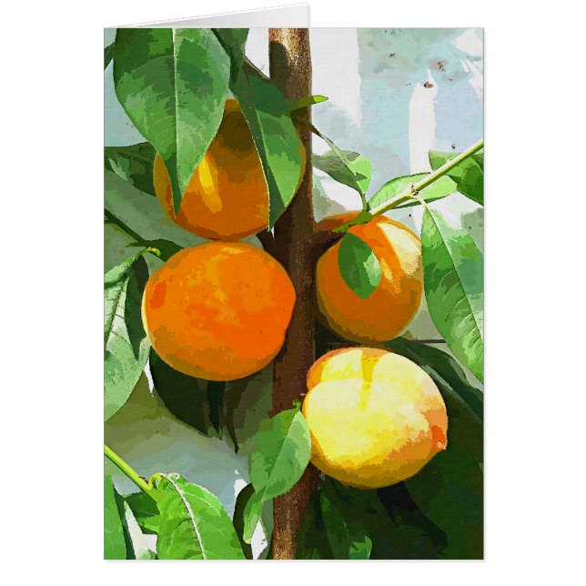 PEACHES Card (Vorne)