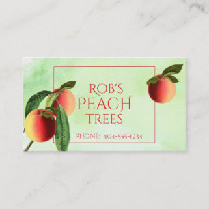 Peaches colorées sur Carte de visite d'aquarelle v