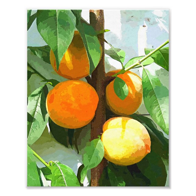 PEACHES FOTODRUCK (Vorne)