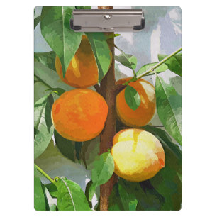 PEACHES KLEMMBRETT