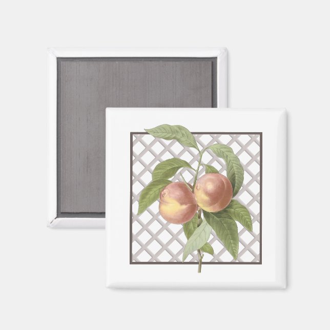 PEACHES MAGNET (Vorderseite/Rückseite)