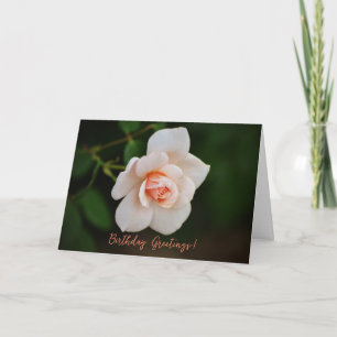 Peacht rose petit Rose carte d'anniversaire