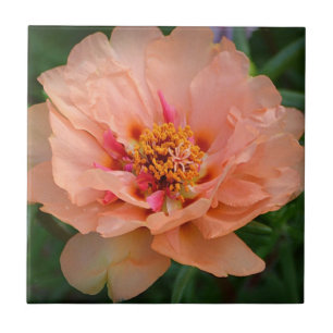 Peachy Blume Tile Fliese