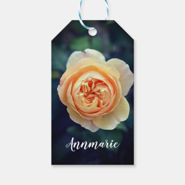Peachy Orange Garden Rose Blume Happy Birthday Geschenkanhänger (Vorderseite)