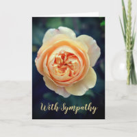 Peachy Orange Garden Rose Blume mit Beileid