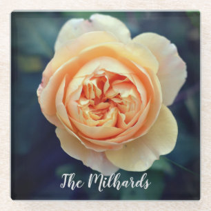 Peachy Orange Garden Rose Blume Personalisiert Glasuntersetzer