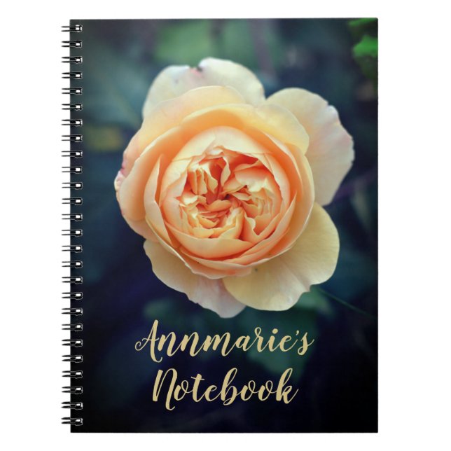 Peachy Orange Garden Rose Blume Personalisiert Notizblock (Vorderseite)