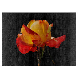 Peachy Orange Rose Schneidebrett