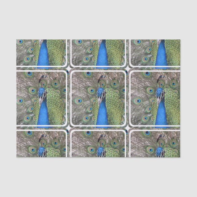 peacock-3.jpg seidenpapier (Vorderseite)