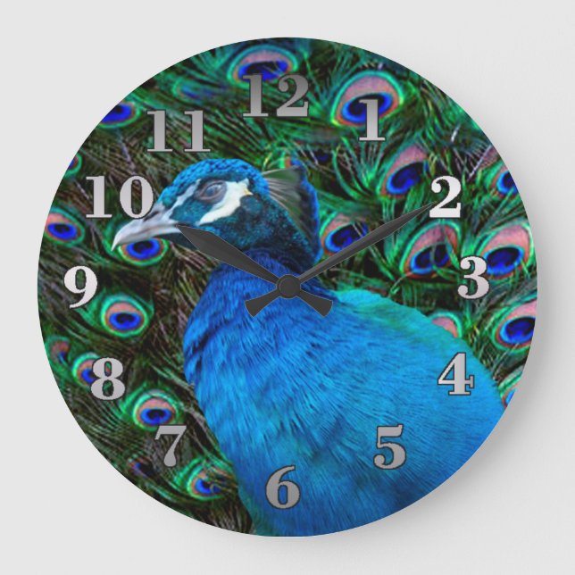 Peacock and Feather Große Wanduhr (Vorderseite)