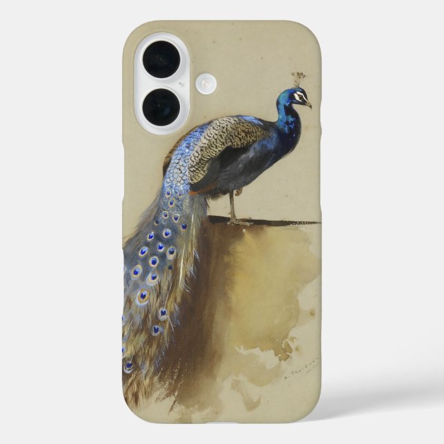 Peacock | Archibald Thorburn iPhone 16 Hülle (Rückseite)