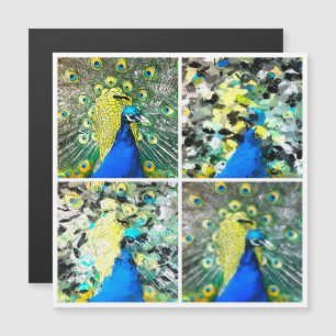 Peacock Art Magnetkarte