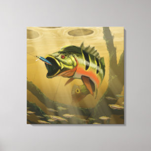 Peacock Bass Leinwanddruck