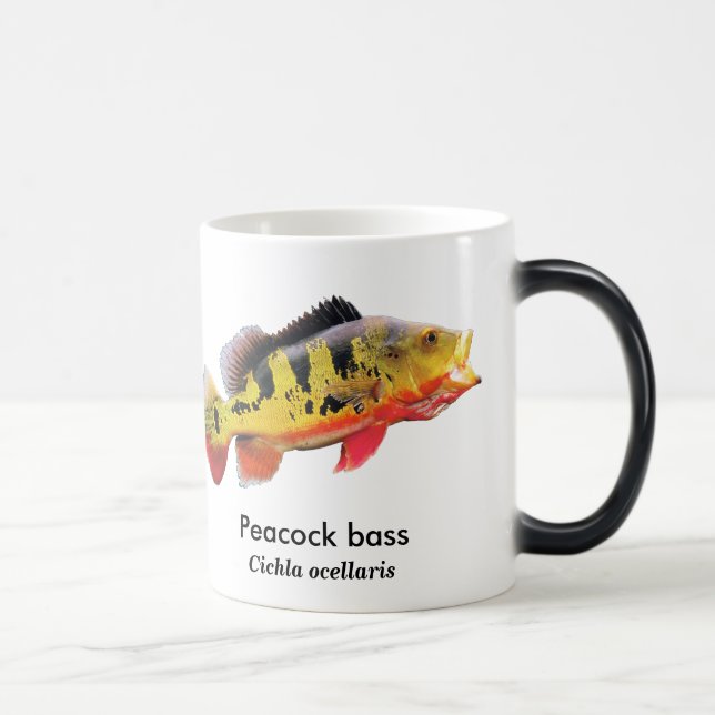 Peacock bass verwandlungstasse (Rechts)