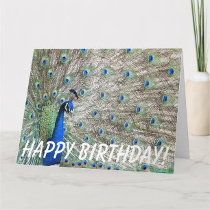 Peacock Bird Anniversaire Grande carte de voeux