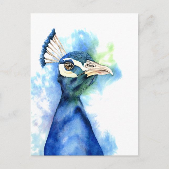 Peacock Bird - Farbe des Meeres Postkarte (Vorderseite)