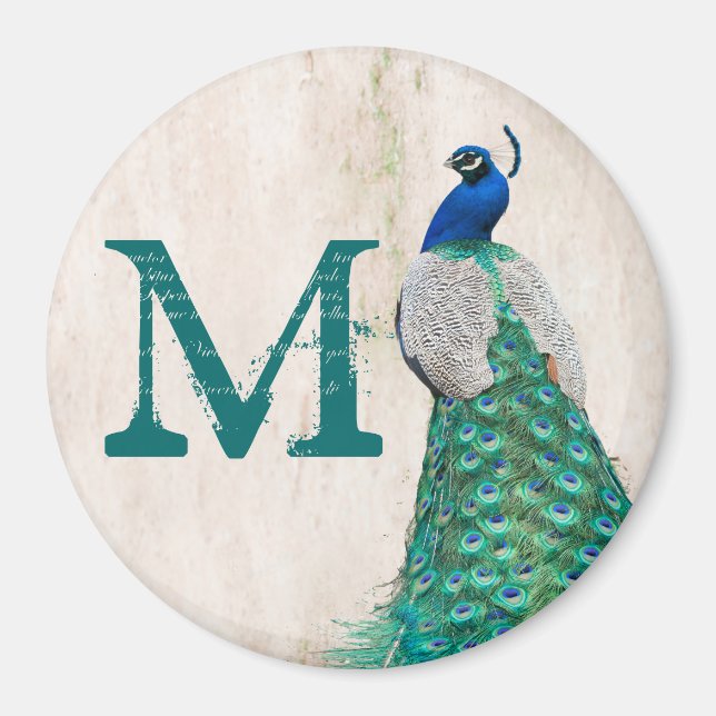 Peacock Bird Feather Aquamarin Monogram Initial Ma Magnet (Vorne)