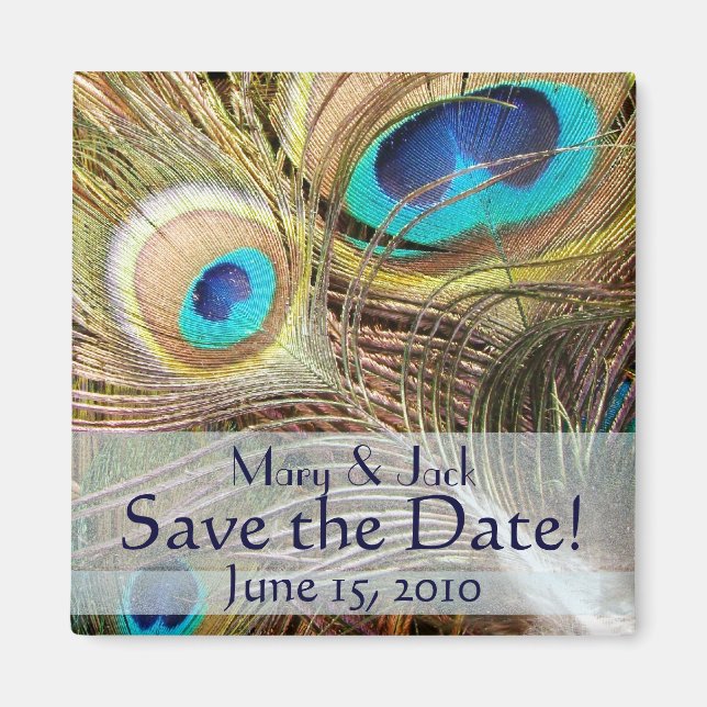 Peacock Bird Feathers Wildlife Animals Magnet (Vorne)