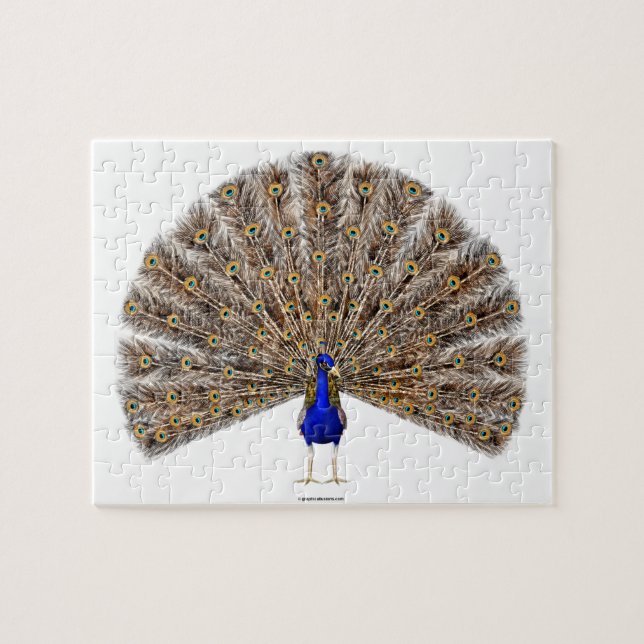 Peacock Blue (Horizontal)
