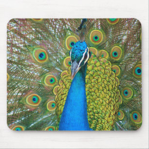 Peacock Blue Head mit bunten Schwanz Feathers Mousepad