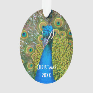 Peacock Blue Head mit bunten Schwanz Feathers Ornament