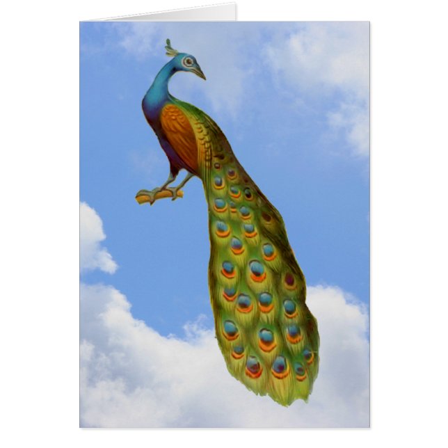 Peacock Blue Sky Clouds Animal Card (Vorne)