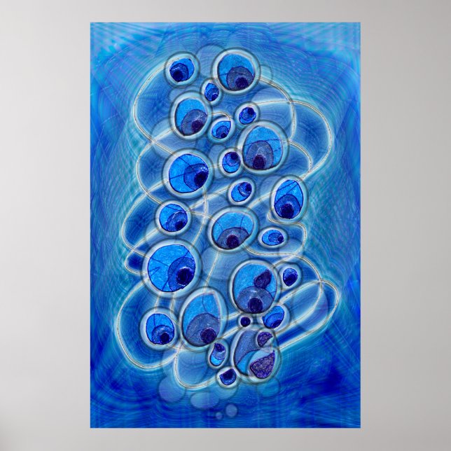 Peacock Bubbles Poster (Vorne)