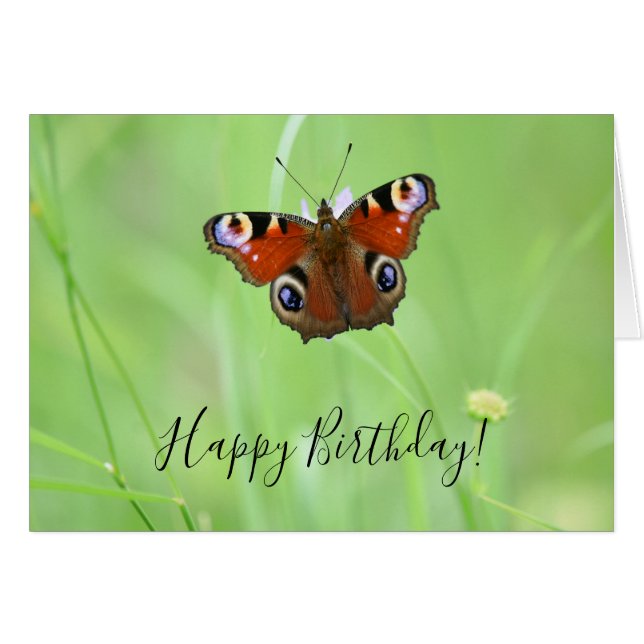 Peacock Butterfly (Vorderseite (Horizontal))