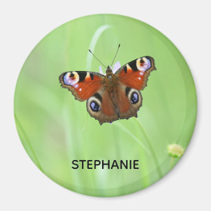 Peacock Butterfly Magnet