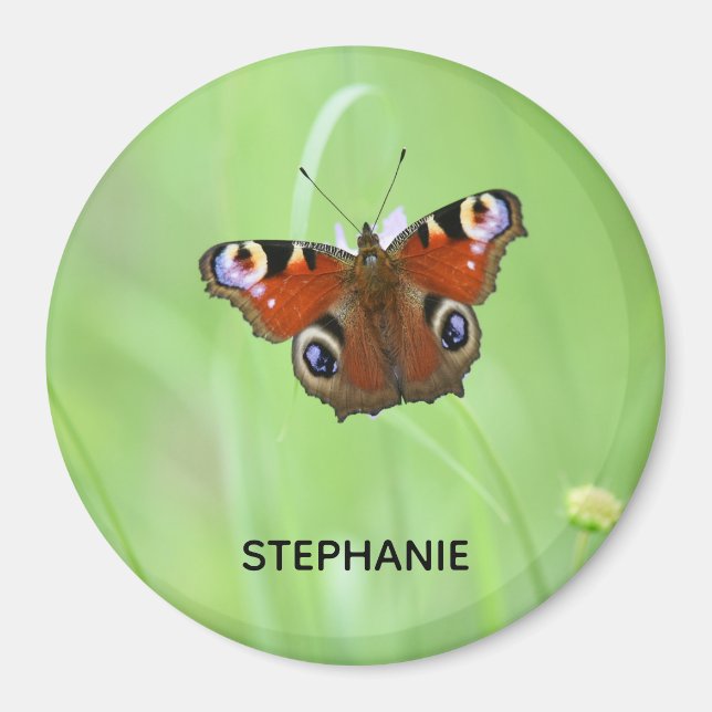 Peacock Butterfly Magnet (Vorne)
