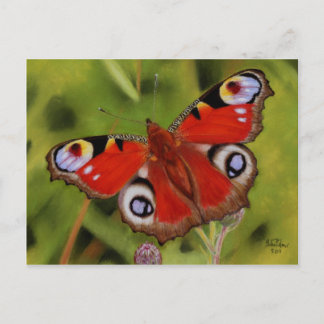PEACOCK BUTTERFLY POSTKARTE