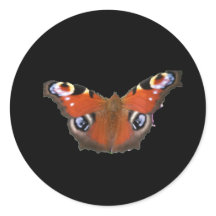Peacock Butterfly von KABFA