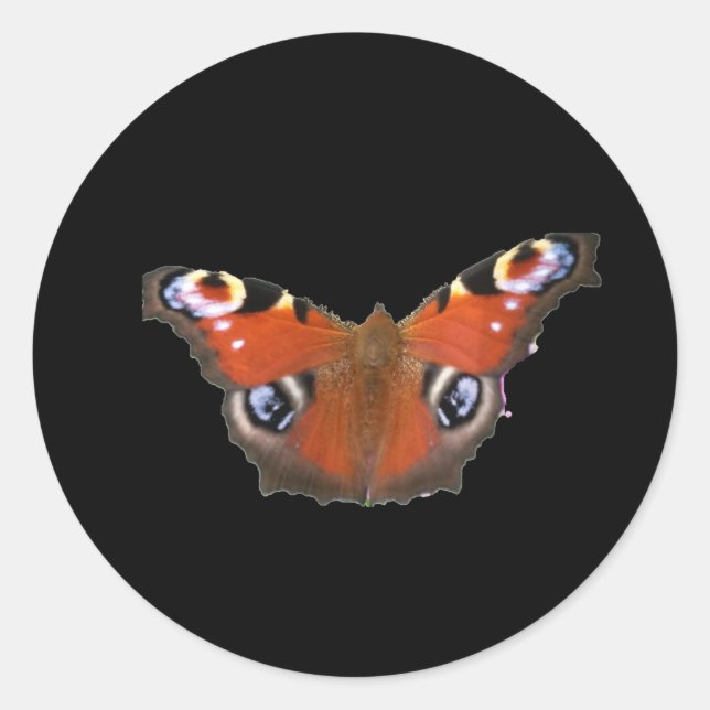 Peacock Butterfly von KABFA Runder Aufkleber (Vorderseite)