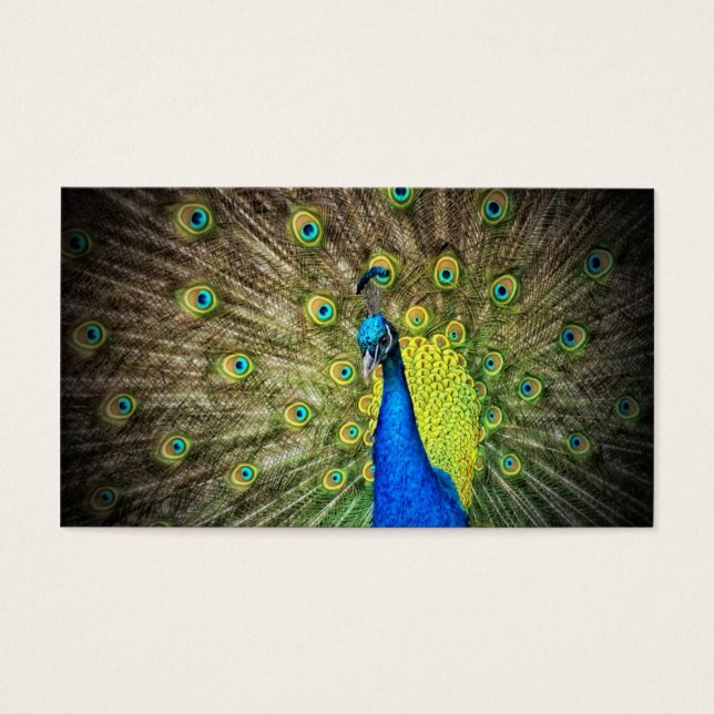 Peacock Color Beauty (Vorderseite)