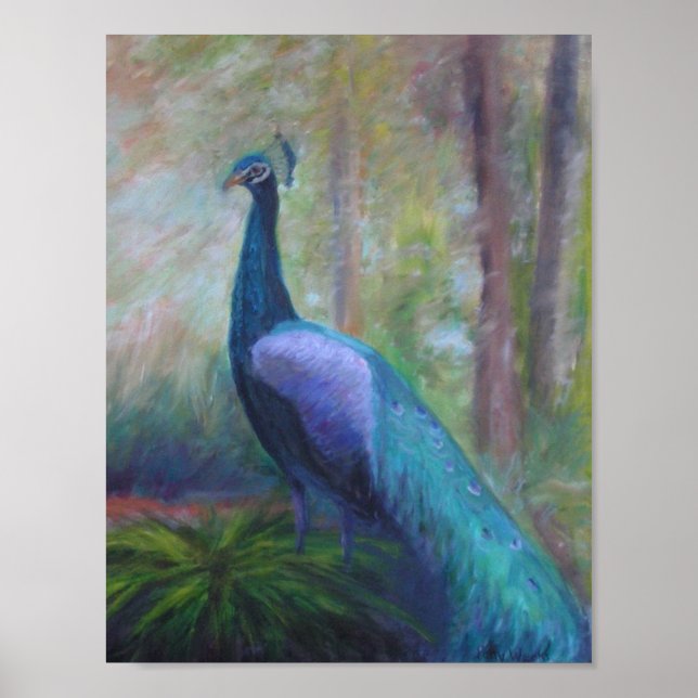 PEACOCK DE LA FONTAINE DE LA JEUNESSE Poster (Devant)