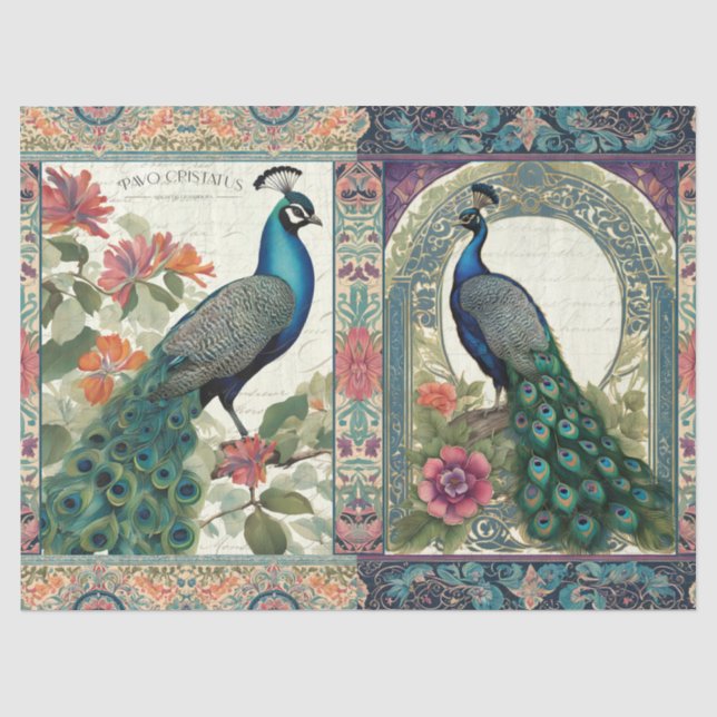 Peacock Elegantes botanisches Ephemera Paradies Seidenpapier (Vorderseite)