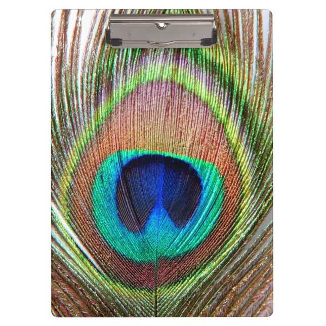 Peacock Feather Clipboard Klemmbrett (Vorderseite)