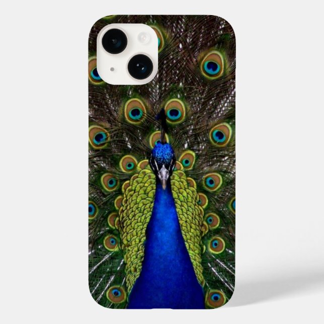 Peacock Feather Display Case-Mate iPhone 14 Hülle (Rückseite)