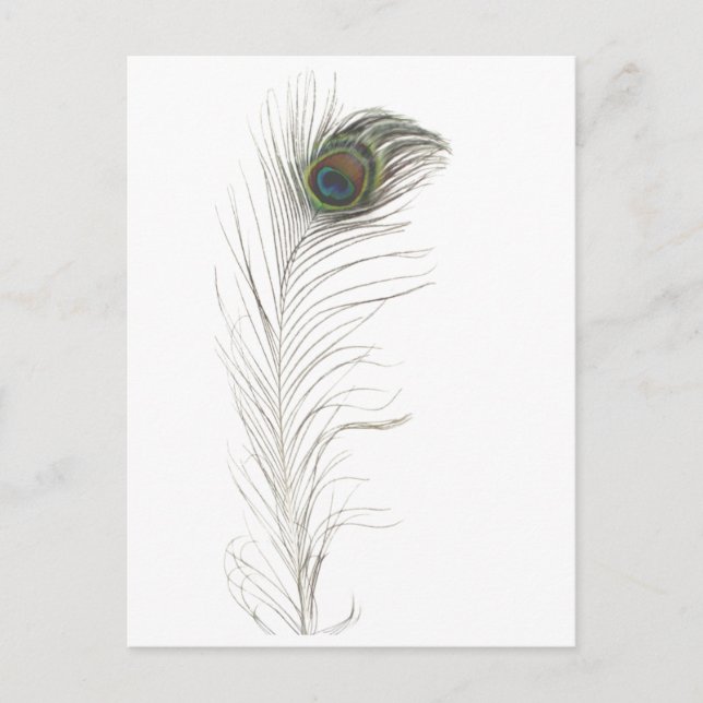 Peacock Feather Einladungspostkarte (Vorderseite)