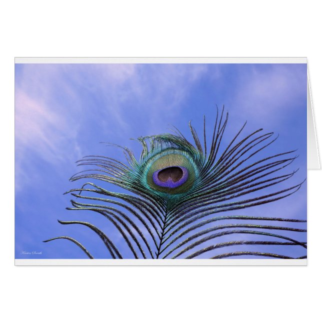 Peacock Feather Foto Light Blue Card (Vorderseite (Horizontal))
