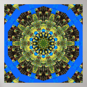 Peacock Feather Kaleidoskop 1 Poster