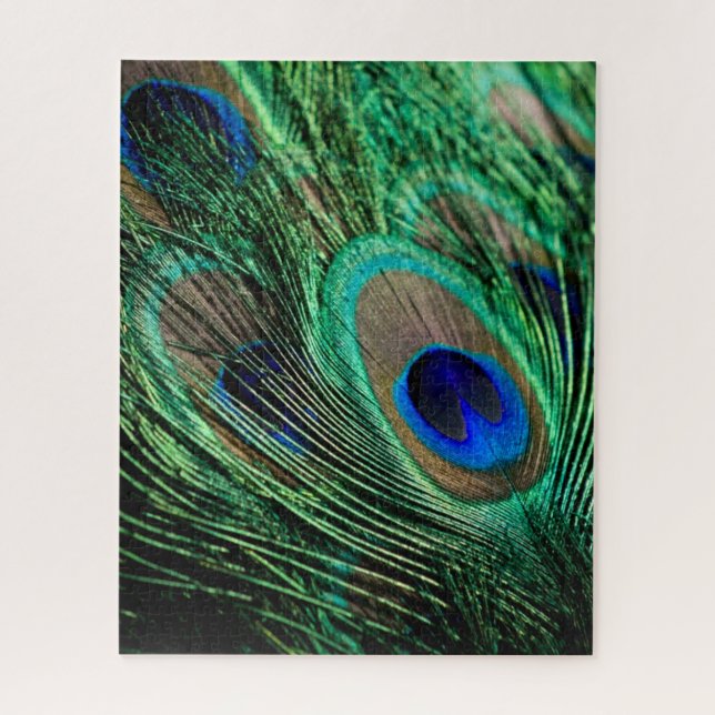 Peacock Feather Lucky (Vertikal)