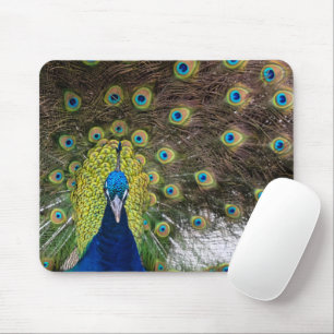 Peacock Feather Mousepad