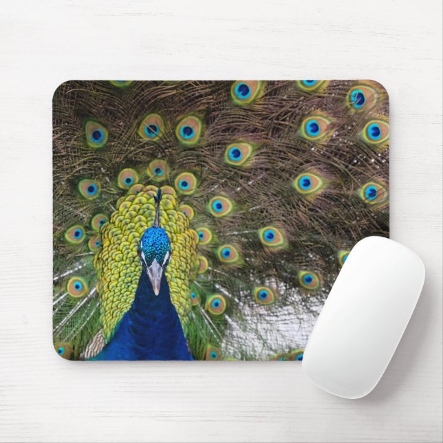 Peacock Feather Mousepad (Mit Mouse)