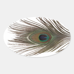 Peacock feather oval ovaler aufkleber