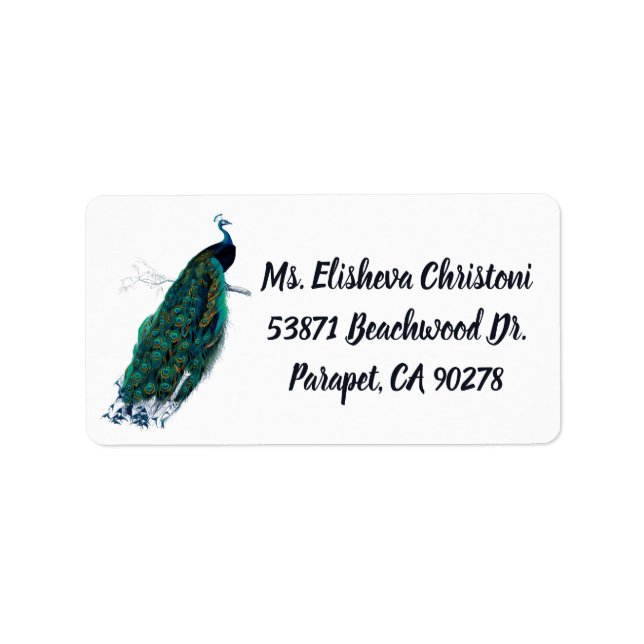 Peacock Feather Peacocks Rücksendeadressen-Aufkleb Adressaufkleber (Vorne)