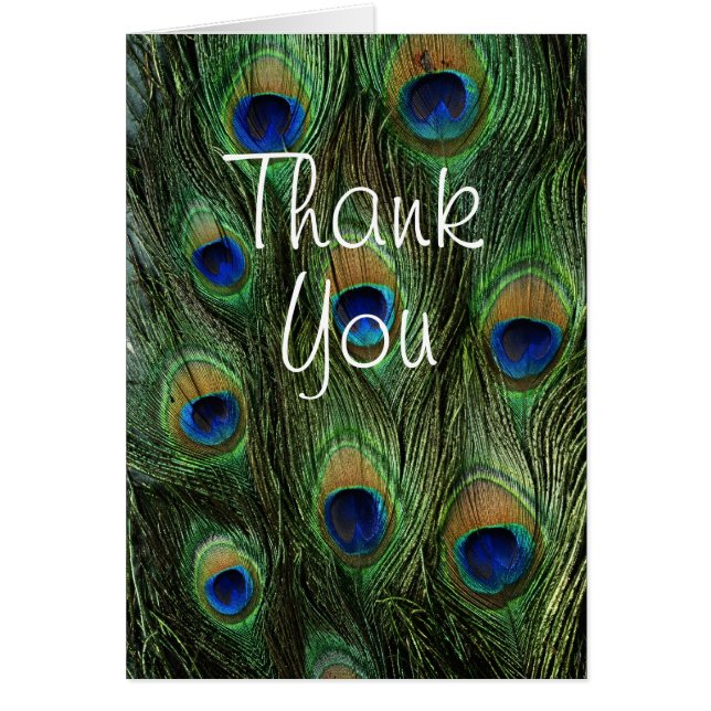 Peacock Feather Print (Vorne)