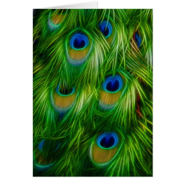 Peacock Feather Print (Vorne)