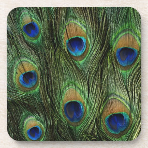 Peacock Feather Print Untersetzer