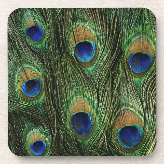 Peacock Feather Print Untersetzer (Vorderseite)